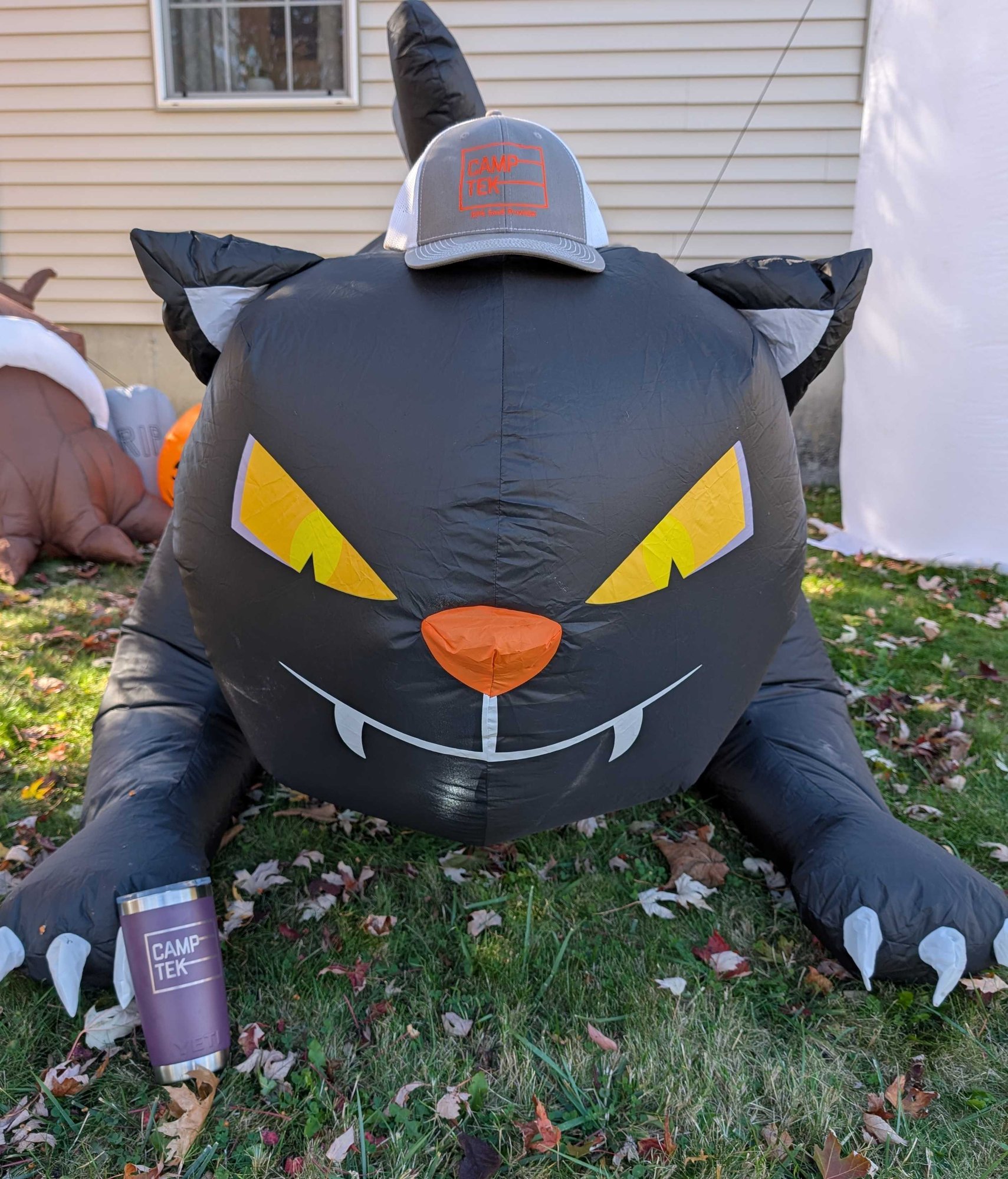 PXL_20251028_165528897.MP~2 PXL_20251028_165528897.MP~2